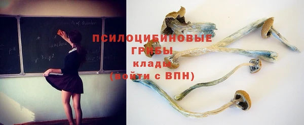 экстази Аркадак