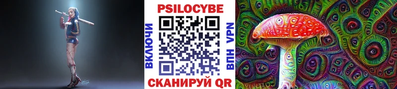 цена наркотик  Бакал  Псилоцибиновые грибы MAGIC MUSHROOMS 